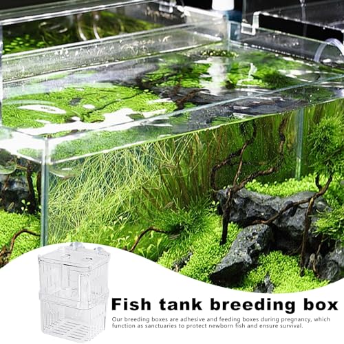 Breeder Box Fish, Acrylic White Breeder Isolation Divider Hatching Boxes, Aquarium Breeder Box, Hatchery Incubator Tank, Acrylic Fish Incubator Tank Divider for Baby Fish Betta Guppy Safe Acclimation