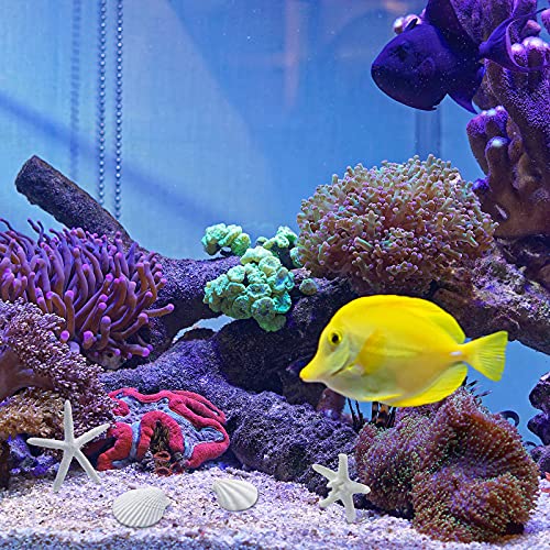 Sumind 8 Pcs White Starfish and Scallop Shells Decor White Aquarium 1-4 Inch Mixed Fish Tank Decor Resin Natural Beach Sea Shells Decorations for DIY Crafts Wedding Party Beach Home