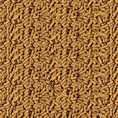 TetraPond Pond Sticks, Pond Fish Food, For Goldfish And Koi, 2.53 Pounds - size: 2.53 Pound (Pack of 1)