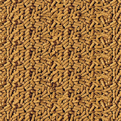 TetraPond Pond Sticks, Pond Fish Food, For Goldfish And Koi, 2.53 Pounds - size: 2.53 Pound (Pack of 1)