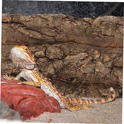 balacoo 6pcs Bark Terrarium Decor Stylish Reptile Background for Aquarium Tank Easy Placement for Reptiles Turtles Hamsters