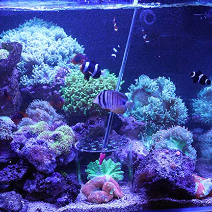 Transparent Coral Feeding Breeding Protection Cover, Acrylic Transparent Coral Feeder Cover Anti-Feeding Shrimp for Aquarium Fish Tank (150mm)
