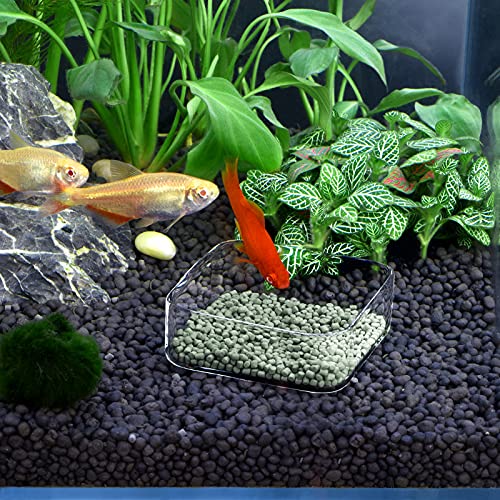 Aquarium Shrimp Feeder Dish Fish Tank Feeding Bowls Glass Square Clear Dish Tray Plate