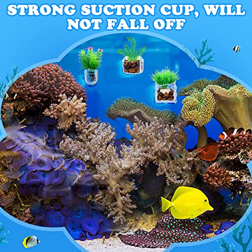 20 Pcs Aquarium Plant Holder with Hole Transparent Acrylic Suction Cup Aquarium Aquatic Planter Cups Fish Tank Aquascape Decoration, 3 Shapes