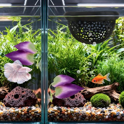3Pcs Betta Fish Tank Accessories-Floating Betta Hide & Fish Leaf Hammock, Feeder, Hiding Spots for Betta Fish