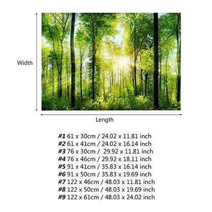 Dioche 3D Effect Forest Terrarium Background, Adhesive Forest Poster for Aquarium Fish Decoration, Foggy Rainforest Aquarium Background, PVC Background (61 * 41cm)