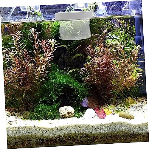 Wakauto Floating Acrylic Fish Breeding Box for Aquarium Transparent Hatchery Isolation Tank with Mesh Bottom for Small Fish Breeding and Acclimation Easy to Clean and Practical Tank