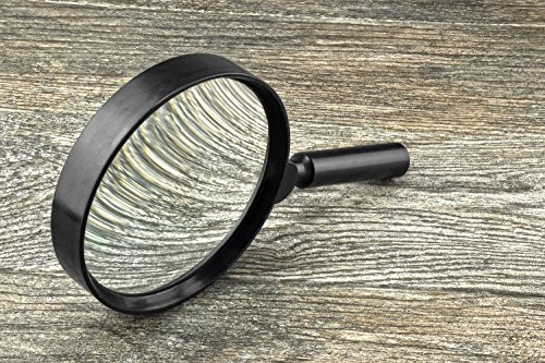 SE 1.5x Handheld Magnifier with Detachable Handle - ML1055