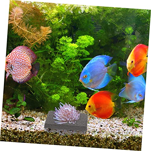 BESPORTBLE 10pcs Tiles Bases Aquarium Reef Bases Ceramic Safe Material for Breeding