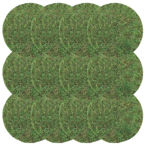 Canlierr 12 Pack Dried Moss Mats Sheets for Crafts, 10/12 Inch Round Green Preserved Moss Placemats for Wedding Party Birthday DIY Garden Plants Decor Home Table Decoration(10 Inch)