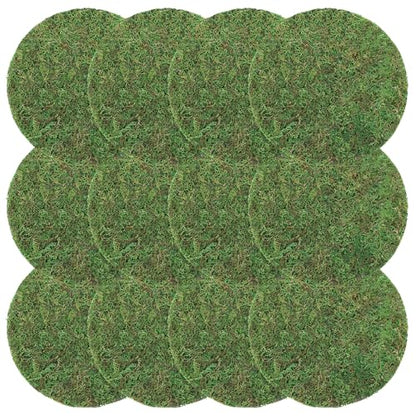 Canlierr 12 Pack Dried Moss Mats Sheets for Crafts, 10/12 Inch Round Green Preserved Moss Placemats for Wedding Party Birthday DIY Garden Plants Decor Home Table Decoration(10 Inch)