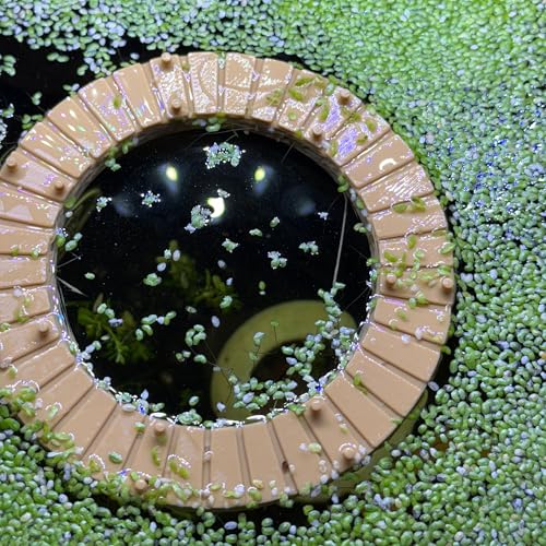 Aquarium Portal Dock/Pier Feeding Ring | Decorative Aquarium Floater Ring | Dock Floating Decor