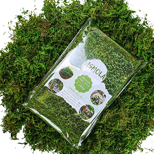 Artificial Moss, 16OZ Fake Moss for Crafts Table Centerpieces Fairy Garden Wedding Party Decor, Faux Grass for Potted Plants, 455gr (Fresh Green)