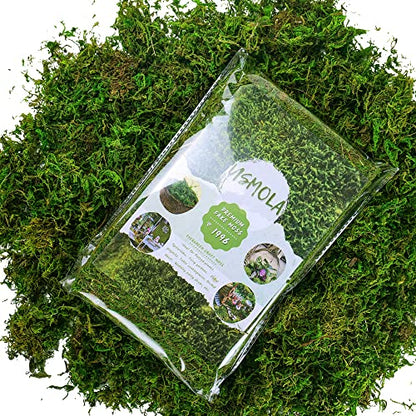 Artificial Moss, 16OZ Fake Moss for Crafts Table Centerpieces Fairy Garden Wedding Party Decor, Faux Grass for Potted Plants, 455gr (Fresh Green)