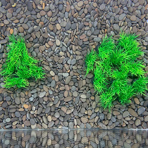 Aquarium Plant Fish Tank Decoration 20 Pieces Small/1" Tall Plastic Artificial Plant Goldfish Hidden Mini Grass Set (Green-C) - color: Green-c