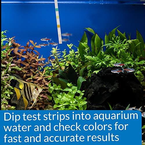 API 5-in-1 Test Strips Freshwater and Saltwater Aquarium Test Strips 25-Count Box - size: 25-Count
