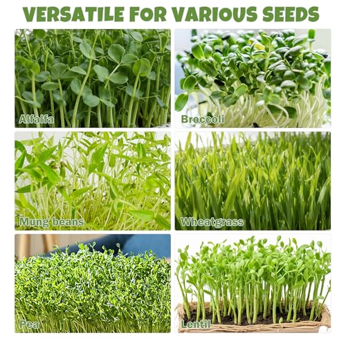 2 Pack 304 Stainless Steel Seed Sprouter Trays, 2-Tier Soil-Free Microgreens Growing Kit, Rust-Free Round Sprouting Tray with Mesh Pads for Sprouts Beans Alfalfa Wheatgrass