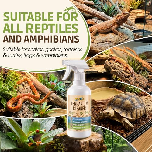 Bearded Dragon Tank Cleaner Kit with Brush, 16oz Reptile and Amphibian Habitat Cleaning Kit for Turtle, Gecko, Lizard Terrarium, Quickly Removes Waste and Messes