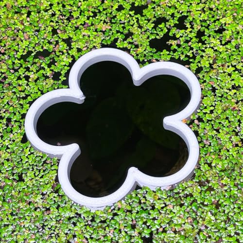 Fish Feeding Portal for Betta & Aquariums | Floating Food Ring & Breathing Window (Daisy) (White)