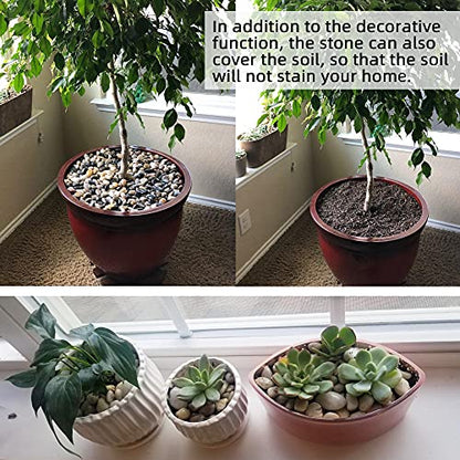 45lb Polished Pebbles for Plants Potting,Succulents Aquarium Fish Tank Vases-Decorative River Rocks Garden Gravel Stones - size: 45LB, style: Colour