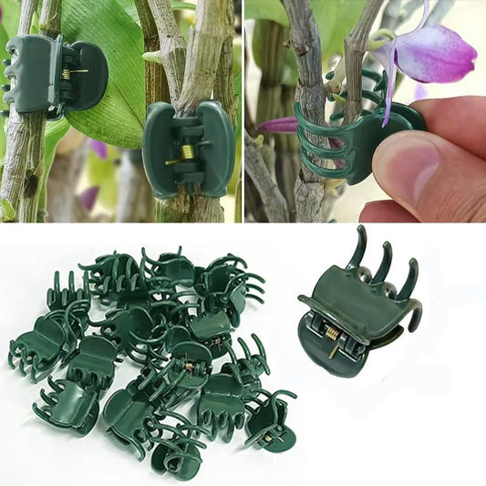 30 pcs Plant Clips, Orchid Clips Plant Orchid Support Clips Flower and Vine Clips for Supporting Stems Vines Grow Upright Dark Green