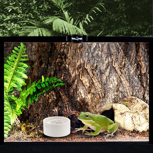 2 Pack Snake Small Water Bowl Reptile Food Dish Ceramic Feeder for Snake Lizard Gecko Frog Hermit Crab