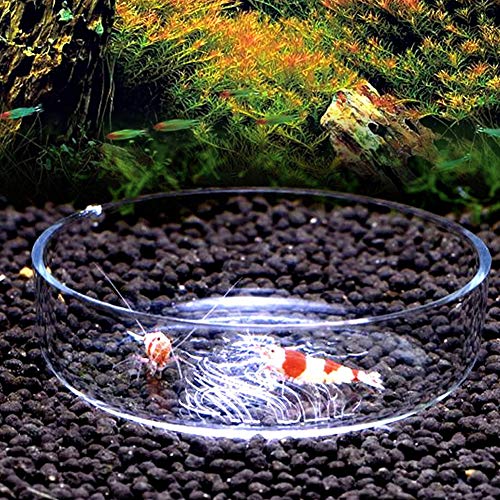 Acrylic Aquarium Shrimp Feeding Dish Bowl, Transparent Fish Food Container Feeder Tray Smaller Reptile Pets Feeder Dish
