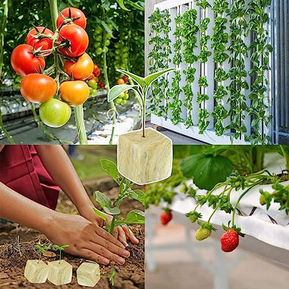 Halatool 1.5 Inch Rockwool Cubes Garden Stonewool Grow Cubes Starter Plugs for Hydroponics Soilless Cultivation Seedlings Cuttings Clone Plants Germination Start (4 Sheets, 196 Plugs in Total)
