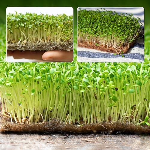 10 Pack Jute Grow Mat for Microgreens, 5" x 5" Hydroponic Grow Pads for Growing Tray Sprouting Trays Jute Fiber Seed Starter Planting for Micro Greens & Wheatgrass