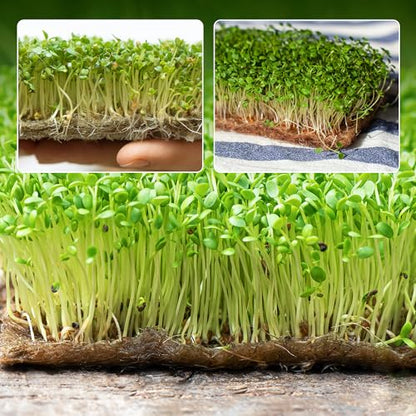 10 Pack Jute Grow Mat for Microgreens, 5" x 5" Hydroponic Grow Pads for Growing Tray Sprouting Trays Jute Fiber Seed Starter Planting for Micro Greens & Wheatgrass