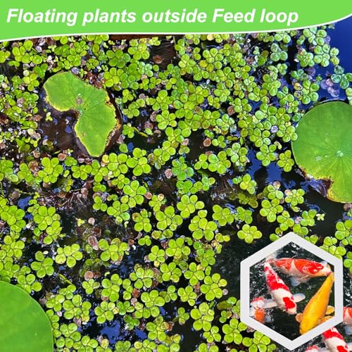 PEUTIER 5pcs Aquarium Floating Plant Corral, Foam Fish Feeding Rings Hexagon Fish Tank Food Ring for Keeping Floating Plants in Place (White)