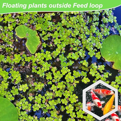 PEUTIER 5pcs Aquarium Floating Plant Corral, Foam Fish Feeding Rings Hexagon Fish Tank Food Ring for Keeping Floating Plants in Place (White)