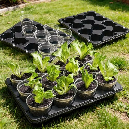 4 Inch Seed Starting Trays with Humidity Domes for Plants, 4 Pack 12-Cell Seedling Starter Trays, Plant Starter Germination Trays for Pots Seedlings for Indoor,4" Opening Compatible Pots - size: 4 Inch, style: 4 Pack Seed Starter Tray+Humidity Dome