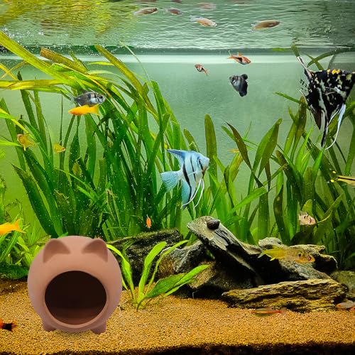 Pleco Shrimp Breeding Cave Betta Fish Tank Accessories Cute Ceramic Fish Tank Ornament Fish Hideout for Aquarium Decoration
