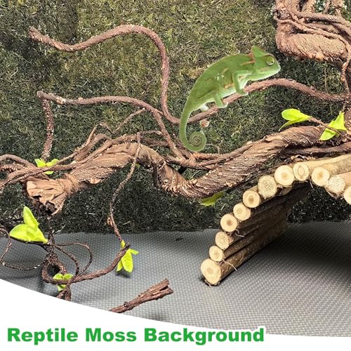 Reptile Carpet, Natural Moss Mat for Terrarium, Bearded Dragon Tank Flooring Green Substrate Liner for Leopard Gecko Hermit Crab Lizard Tortoise (47.24" X 11.81")