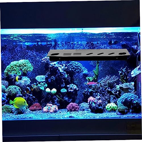 Toddmomy Aquarium Maintenance Tool Holder Wall-Mounted Organizer for Tweezers Scissors and Tank Accessories Stainless Steel Storage Rack for Fish Tank Cleaning