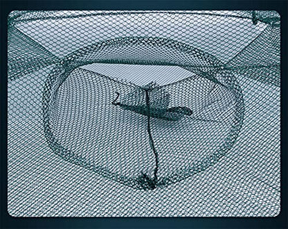 2 Pack Crawfish Trap，Crab Fish Trap,Foldable Fishing Bait Trap Cast Net Cage with 18 Feets Nylon Rope for Catching Small Bait Fish Eels Crab Lobster Minnows Shrimp 2 Pack