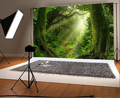 Enchanted Forest Backdrop 7x5ft Green Trees Outdoor Jungle Forest Backdrops for Photography Fairytale Nature Rainforest Sunset Party Decorations Background Kids Baby Photo Props Vinyl