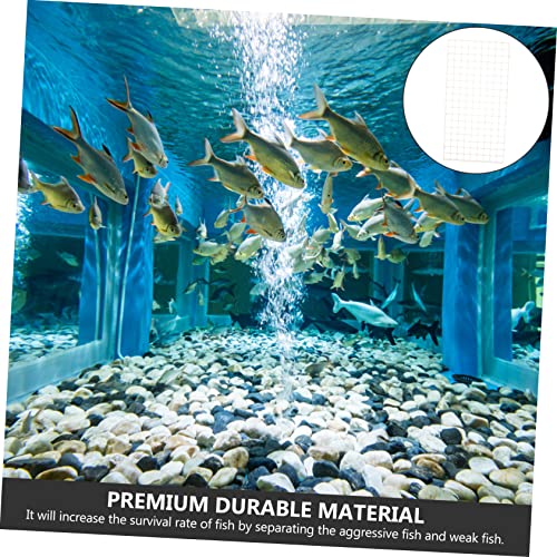 Mikikit 6Pcs Fish Tank Divider Isolation Board Compartment for Aquarium Durable Pe Board for Fish Separation and Breeding
