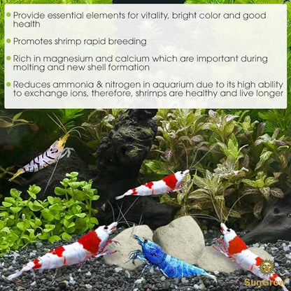 SunGrow Shrimp Rocks, Calcium, Magnesium Rocks for Crayfish, Hermit Crab, Snails, Crustacean Care, Aquarium Decor for Crystal Red, Amano and Ghost Shrimps, Nano Tank Accessories, Fish Tank Supplies