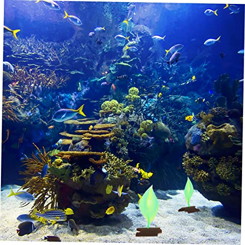 Fish Hammock Pad Cup Bed for Aquarium Fish Resting Easy Installation Natural Decoration and Aquariums