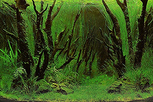 ELEBOX Aquarium Background Live Aquarium Plants Fish Tank Background Decorations Wallpaper Underwater Forest Poster Backdrop 12"x 32"