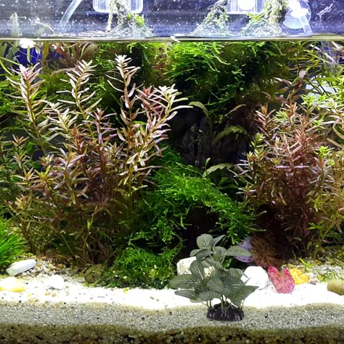 Abaodam Artificial Aquarium Plants and Fish Tank Grass, Realistic Plastic Aquatic Plants with Base, 1pcs Aquarium Decoration for Freshwater Fish Tank Landscaping and Betta Hiding Spot