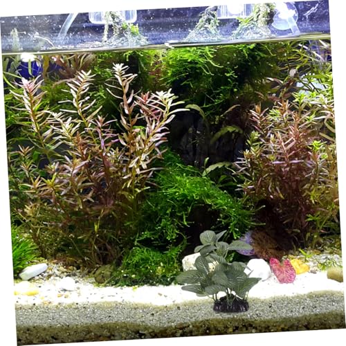 Alipis Realistic Artificial Aquarium Plant Decoration Sturdy Plastic Water Grass Ornament with Base for Fish Tank Landscape and Betta Hiding Spot Easy Maintenance Lifelike Design