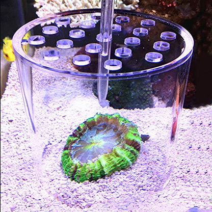Transparent Coral Feeding Breeding Protection Cover, Acrylic Transparent Coral Feeder Cover Anti-Feeding Shrimp for Aquarium Fish Tank (150mm)