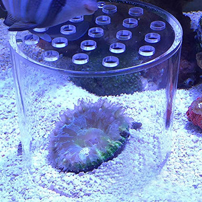 Transparent Coral Feeding Breeding Protection Cover, Acrylic Transparent Coral Feeder Cover Anti-Feeding Shrimp for Aquarium Fish Tank (150mm)