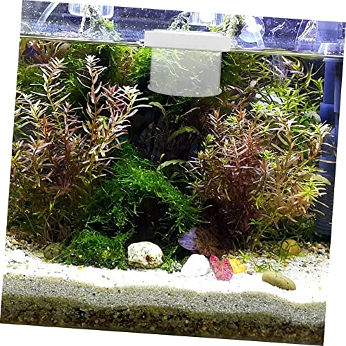Floating Fish Breeding Box Removable Cover Water Permeable Design for Fish Tanks Prevents Escape Transparent Isolation Container