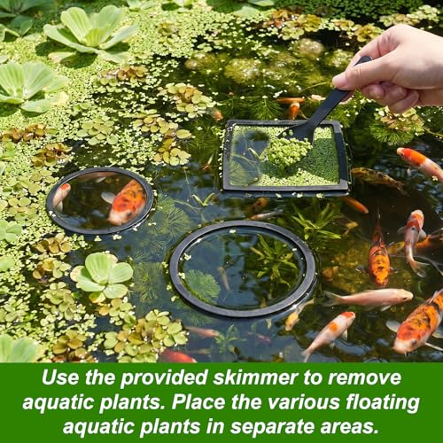 6 Pcs Aquarium Floating Plant Corral, Round & Square Fish Feeding Rings, EVA Fish Tank Accessories for Betta and Small Fishs, Floating Plant Barrier & Feeder Set with 2 Feeding Forks (Black)