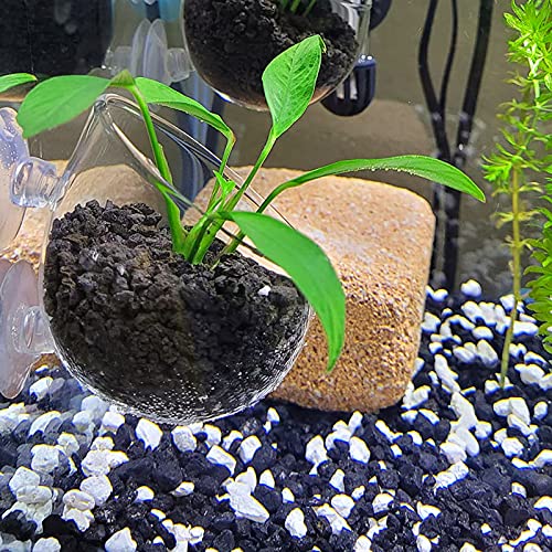 Aquarium Plant Decoration with 2 Suction Cups for Fish Tank, Glass