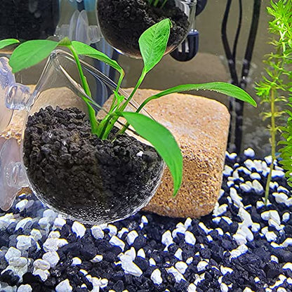 Aquarium Plant Decoration with 2 Suction Cups for Fish Tank, Glass
